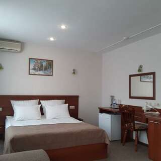 Гостиница Центральная Бийск Люкс 1-местный-1