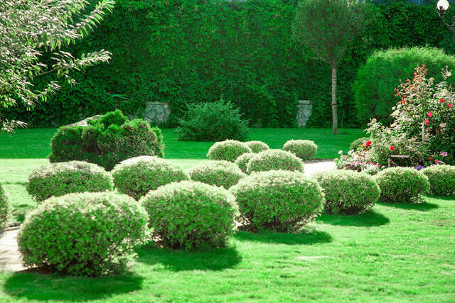 Гостиница Центральная Бийск-167